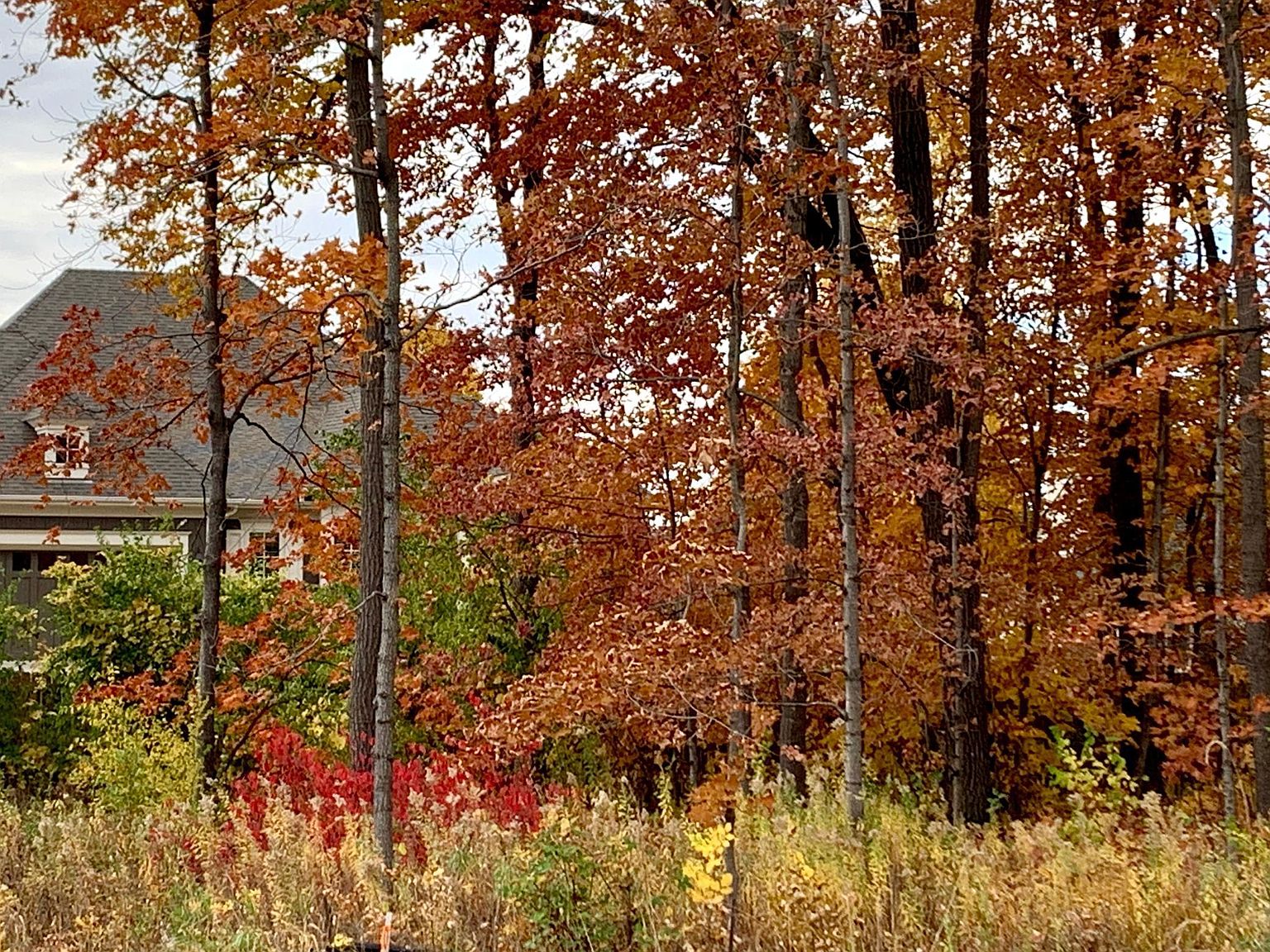 701 Shawnee Woods Rd