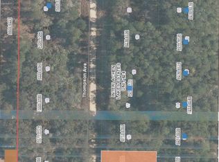 221 Thompson Ave, Interlachen, FL 32148