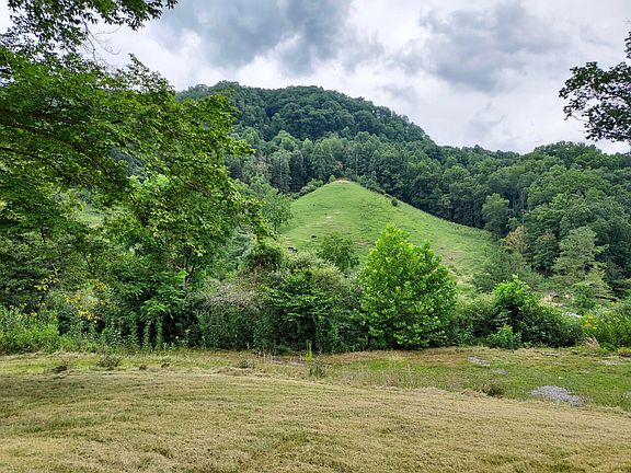 4th image of 436 Lower Georges Fork Holw
