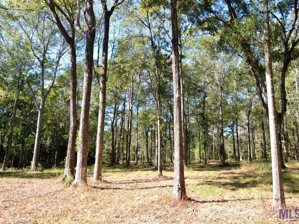 3 Old Laurel Hill Rd #B, Saint Francisville, LA 70775