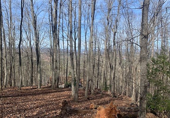2nd image of Lot7b Timber Bnd