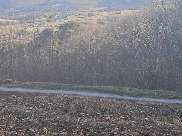 Greene Lane Of #E, La Follette, TN 37766