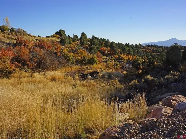 25600 Road U.8, Dolores, CO 81323