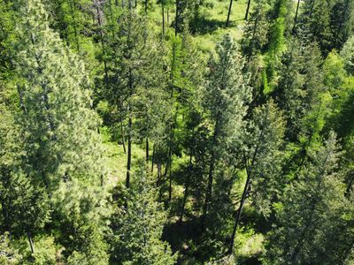 Nna Winter Rd, Moyie Springs, ID, 83845