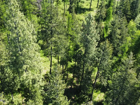 Nna Winter Rd, Moyie Springs, ID 83845