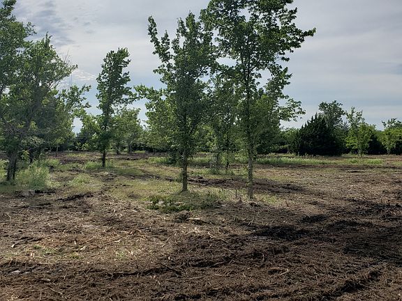4th image of 11242 S Oologah Dr
