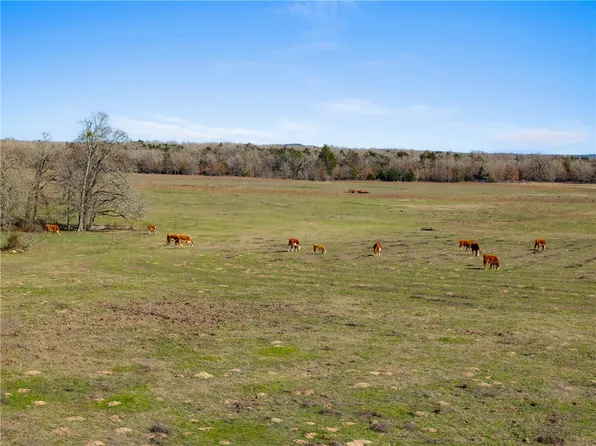 /county Rd #234, Milano, TX 76556