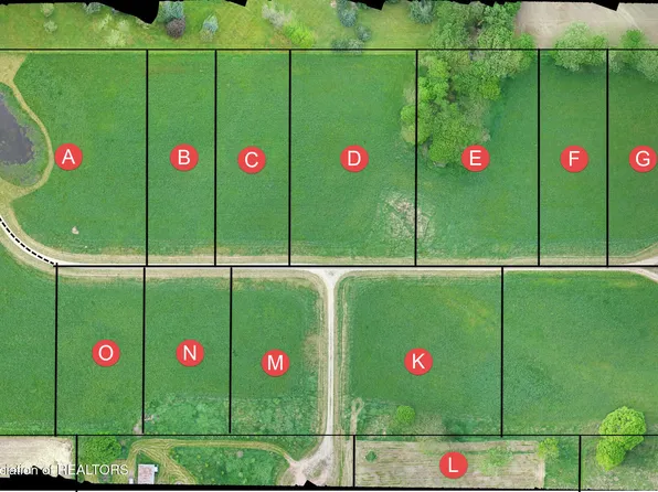 0 Pinebluff Dr Parcel D, Charlotte, MI 48813