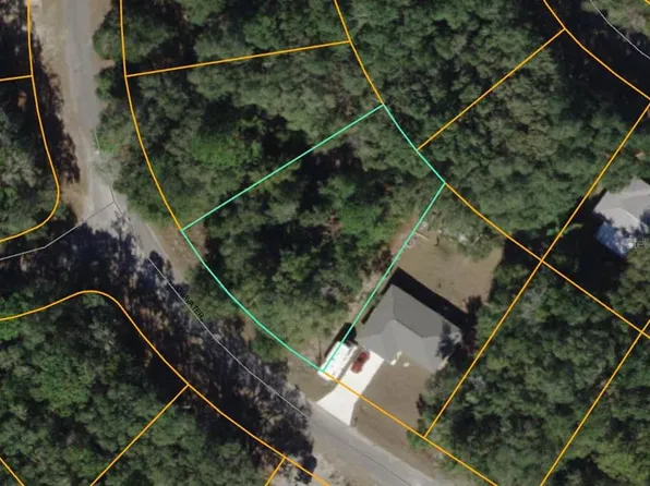 Guava Ter Lot 5, Ocklawaha, FL 32179