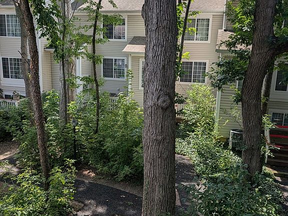 4th image of 293 W Treehouse Ln