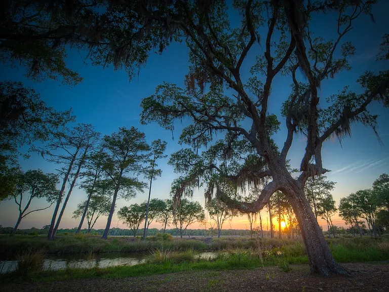 Grand Oaks at Ogeechee River — Photo 24