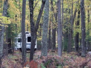 N Bass Lake Rd, Irons, MI 49644