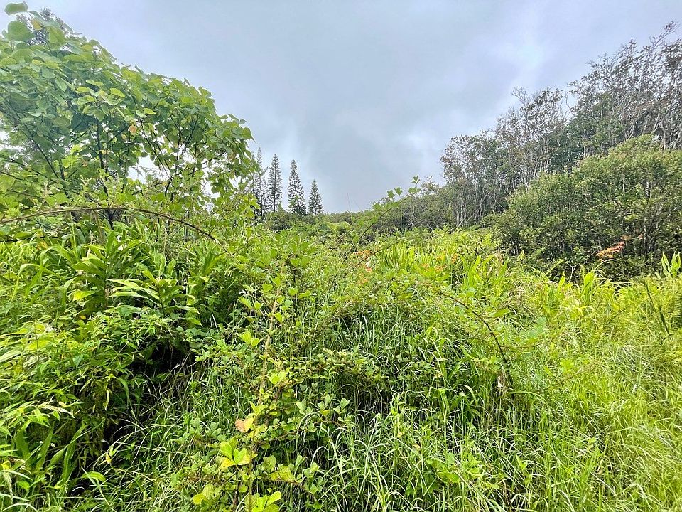 1st image of Keola Pl Lot 220