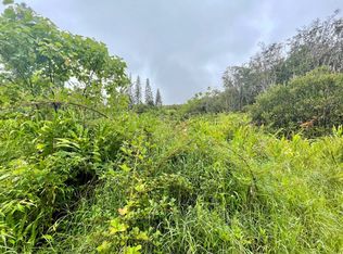 Keola Pl LOT 220, Volcano, HI 96785