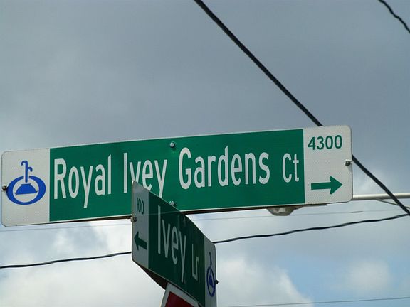 5th image of 4355 Royal Ivey Gardens Ct