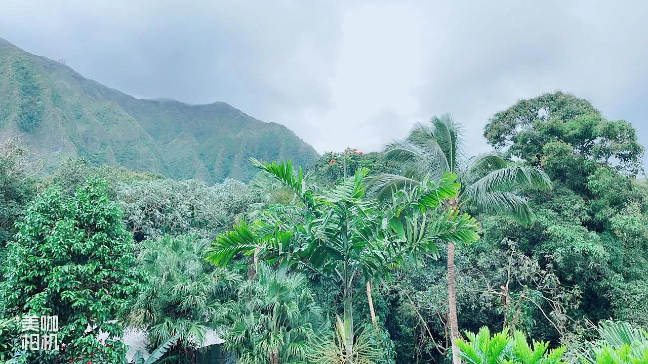 Halemanu St, Kaneohe — Photo 3