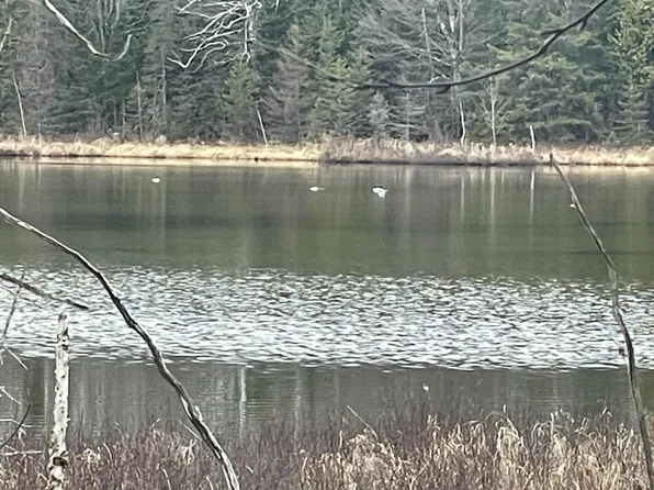 742 Moonlite Ln, Armstrong Creek, WI 54103