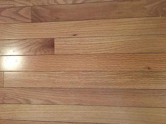 Rented by M & J Tenaglia Realty Corp | media 16