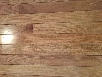 Rented by M & J Tenaglia Realty Corp