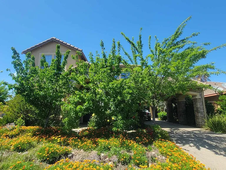 Quasi-private house on corner lot