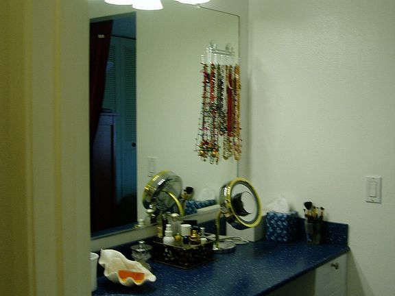 Jill'sSink&Counter