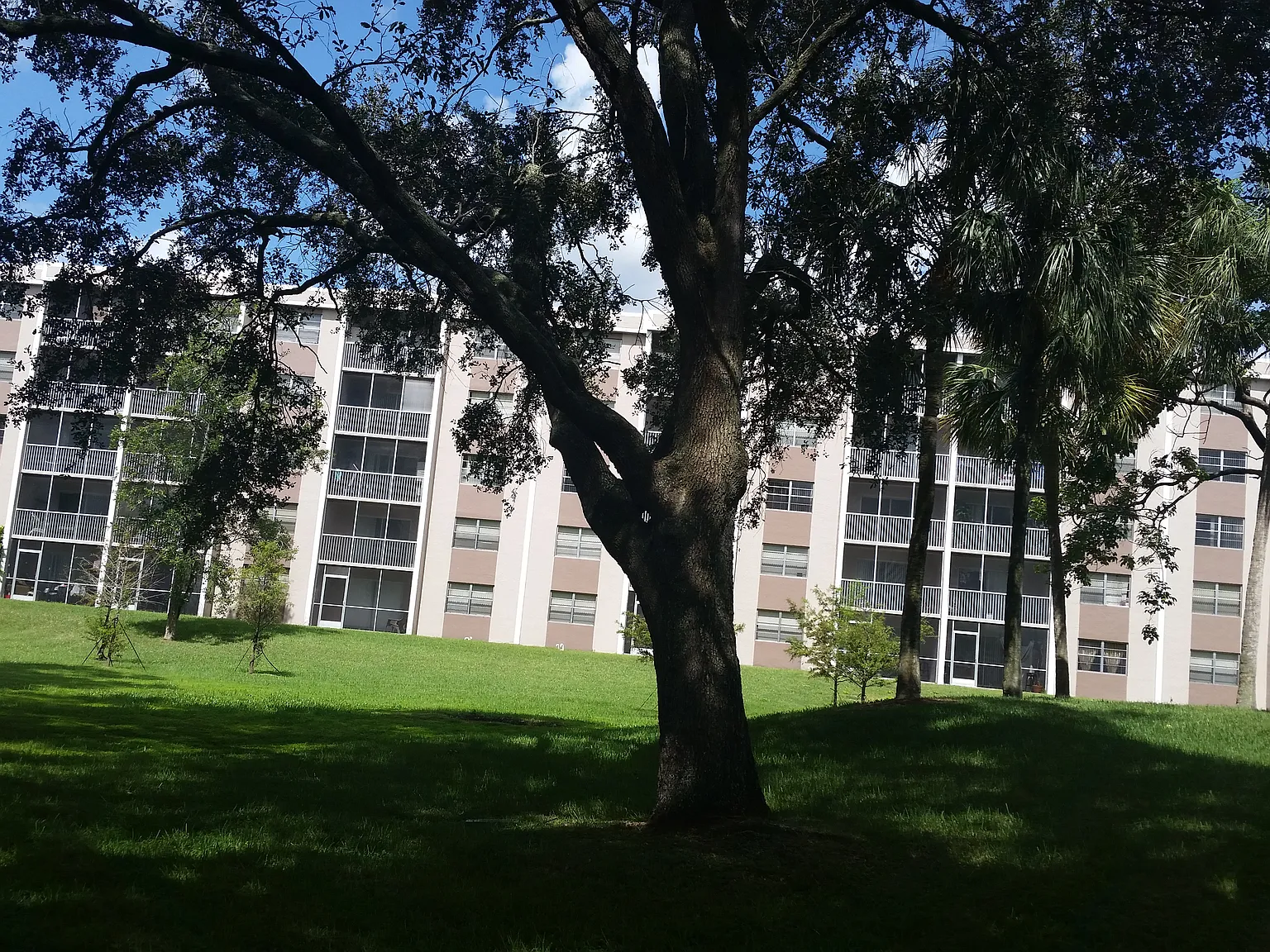 Sherwood Square Apartments — Photo 4