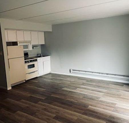 3rd image of 1128 Des Plaines Ave APT 203