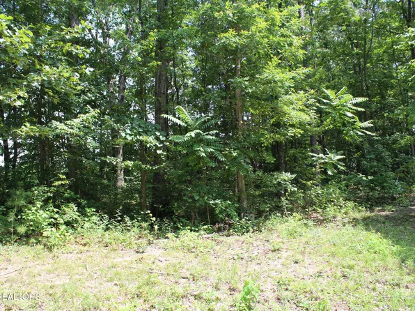 State Highway 154, Jamestown, TN 38556