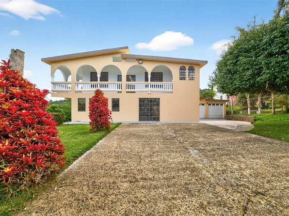 State Highway 184 Km #32.4, Cayey, PR 00736