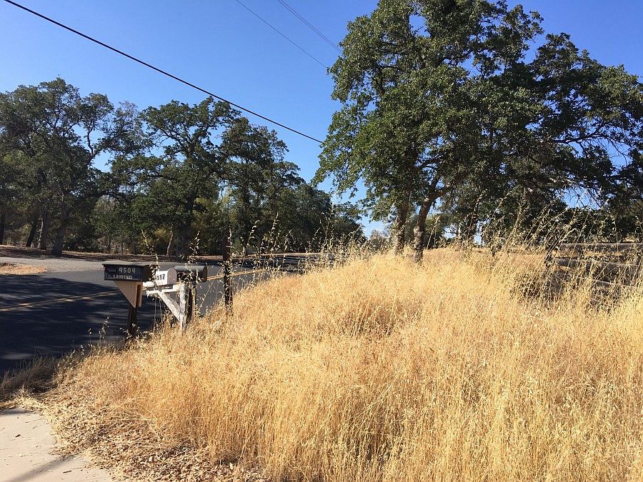 2nd image of 4517 Arbolada Dr