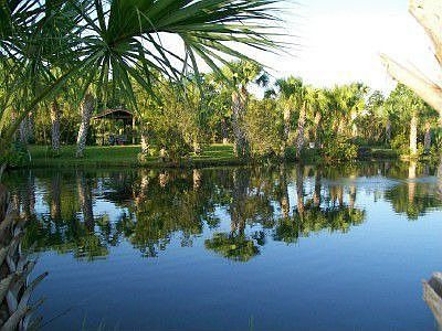 Backyard view of pond