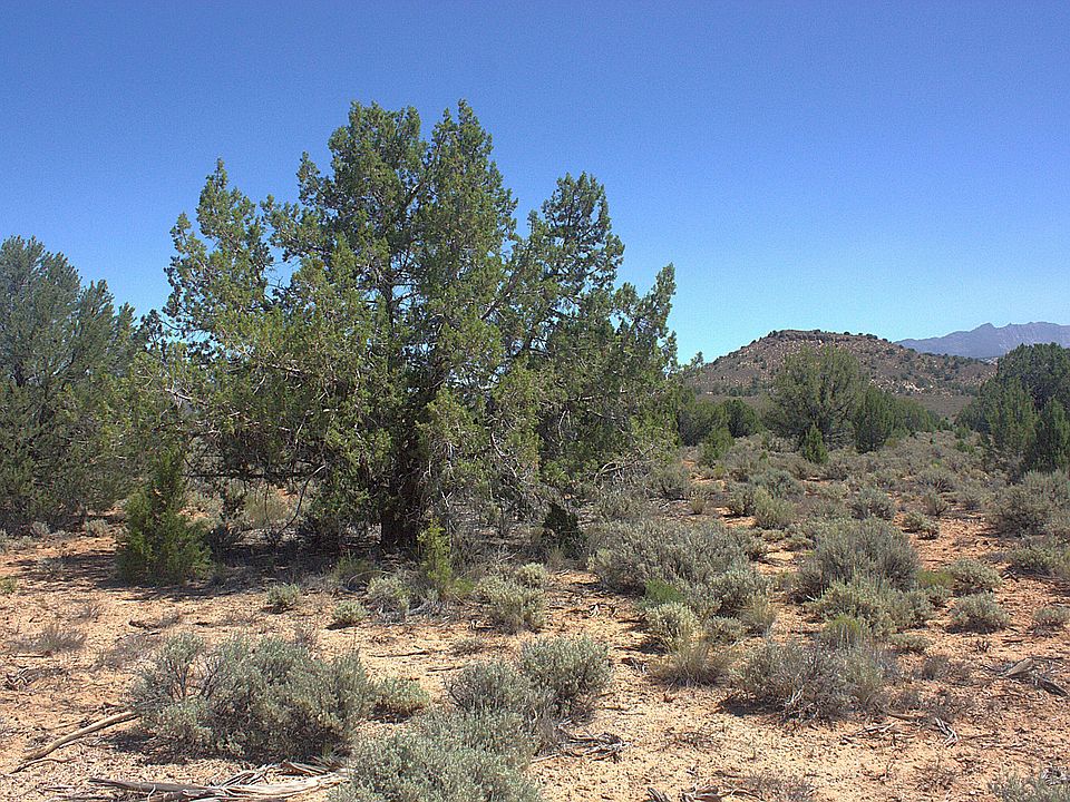 1st image of W Juniper Rd