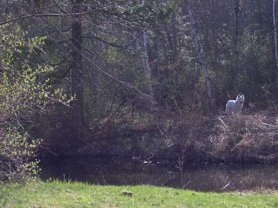 2nd image of 126 Pond Road