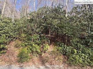 293 Poplar Dr, Banner Elk, NC 28604