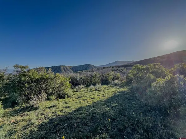 Tract 41 Deadwood Trail, Crawford, CO 81415