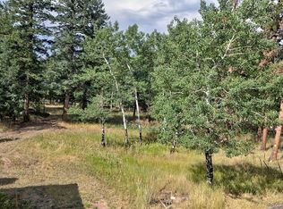 6973 County Highway 73, Evergreen, CO 80439