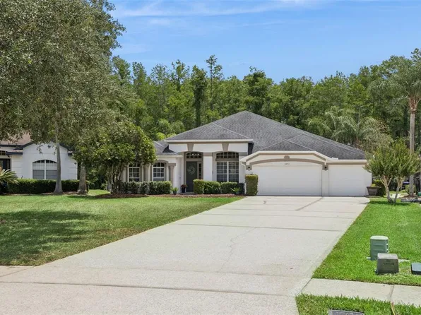 14812 Via Winghurst Ct, Orlando, FL 32828