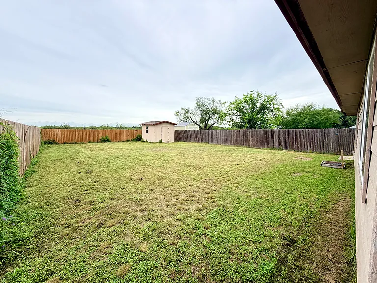 Backyard