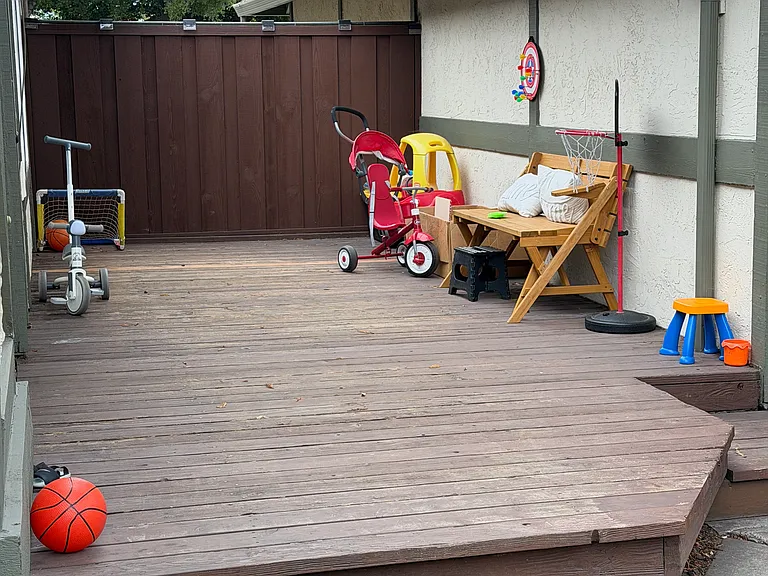 34344 Gadwall Cmn — Photo 24