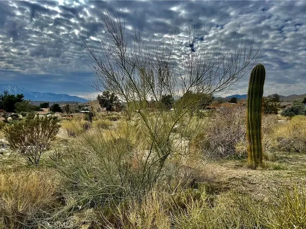 11040 Mescalero Ave, Morongo Valley, CA 92256