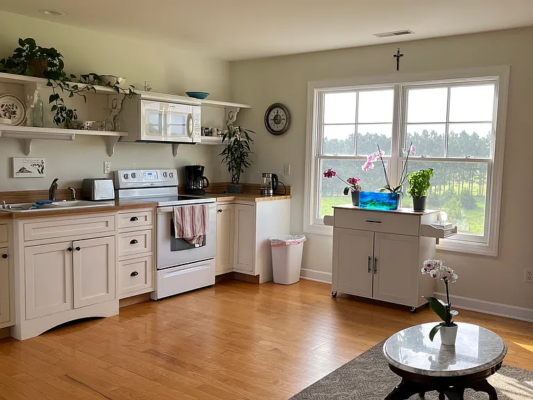 1516 James River Rd #1 — Photo 9