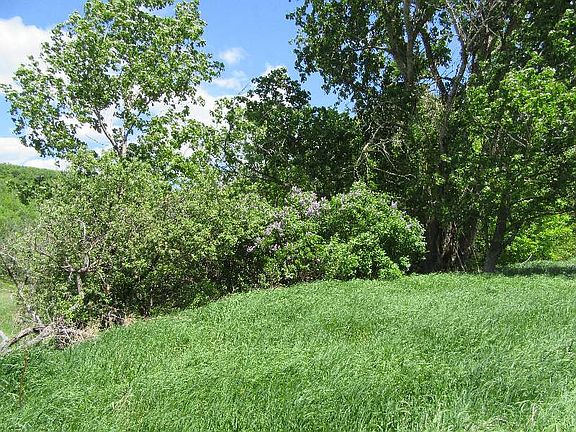 2nd image of 819 Brooker Hollow Rd