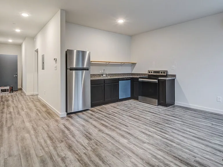 ZAZU — Photo 7