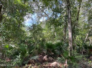 252 Brewster St, Satsuma, FL 32189