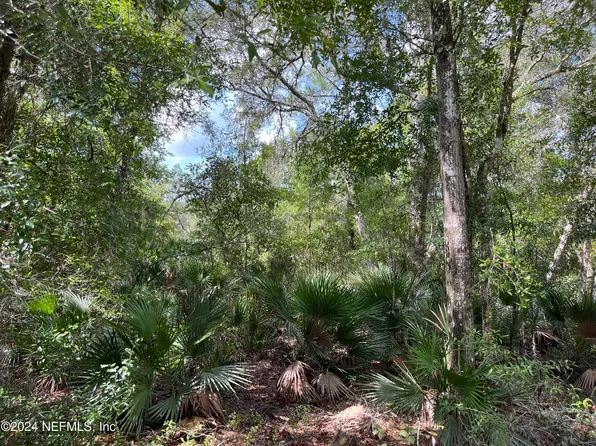 252 BREWSTER Street, Satsuma, FL 32189