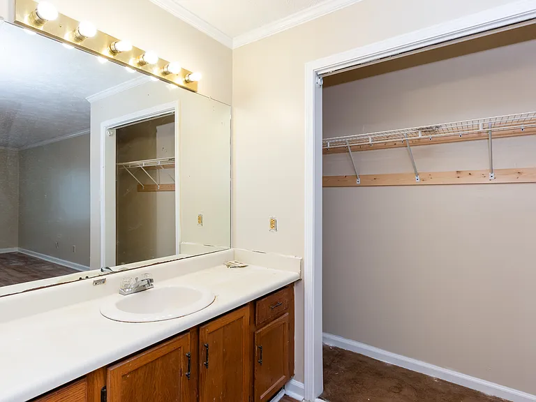 master bathroom with walk in closet