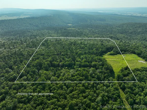 (undisclosed Address), Panola, OK 74559