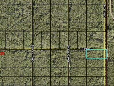 0 AMOS Avenue, Hastings, FL, 32145