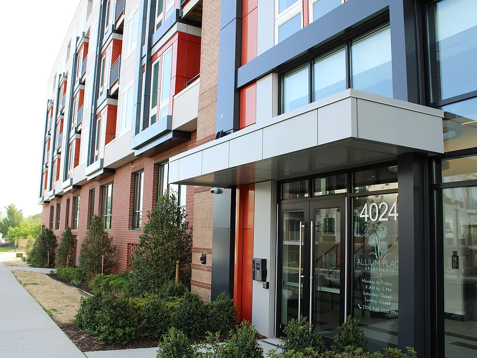 Allium Place