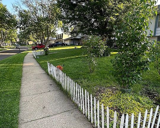 Fruit trees magnolias pear. 